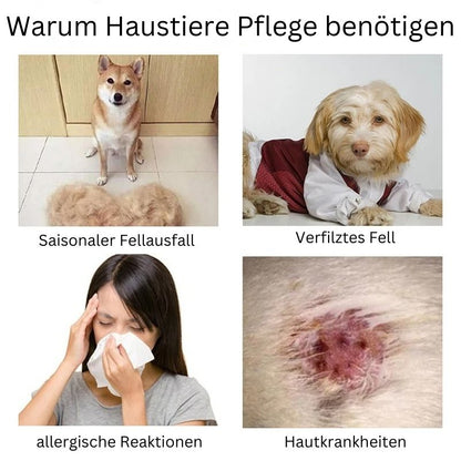 Haustierkamm